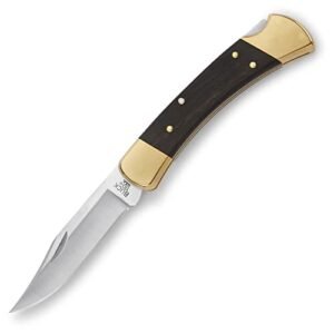 Buck Knives 110 Folding Hunter