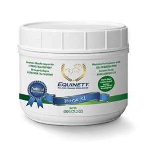 Horse XL 100% Natural Horse Supplement